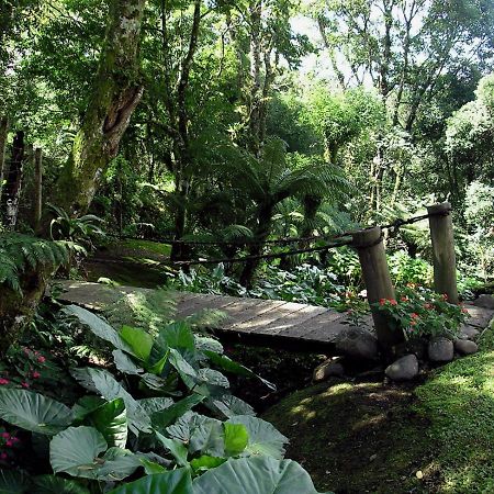 Aconchegante Duplex Para 6 Pessoas Gramado Buitenkant foto