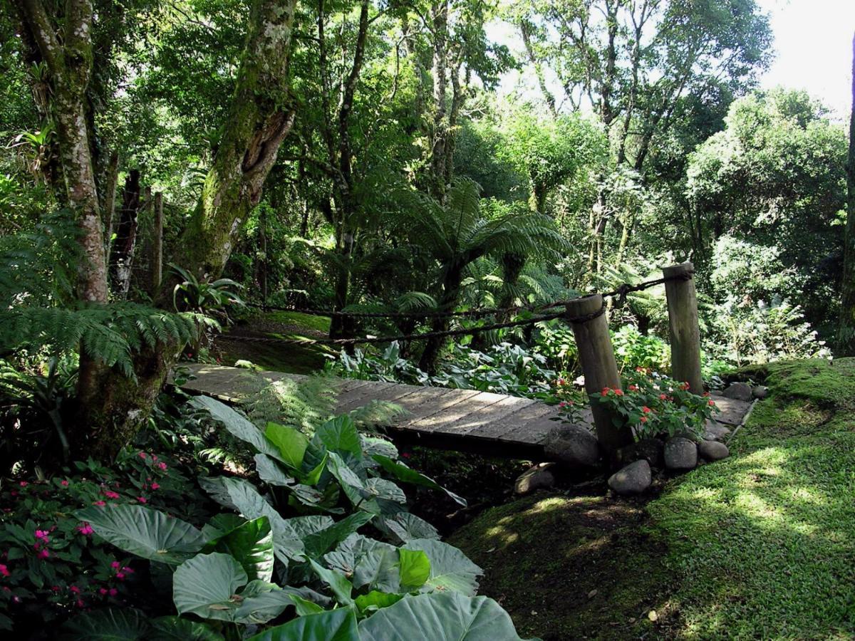 Aconchegante Duplex Para 6 Pessoas Gramado Buitenkant foto